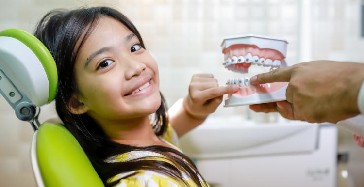 Young Asian girl in a green dentist chair pointing to braces on a model of plastic teeth