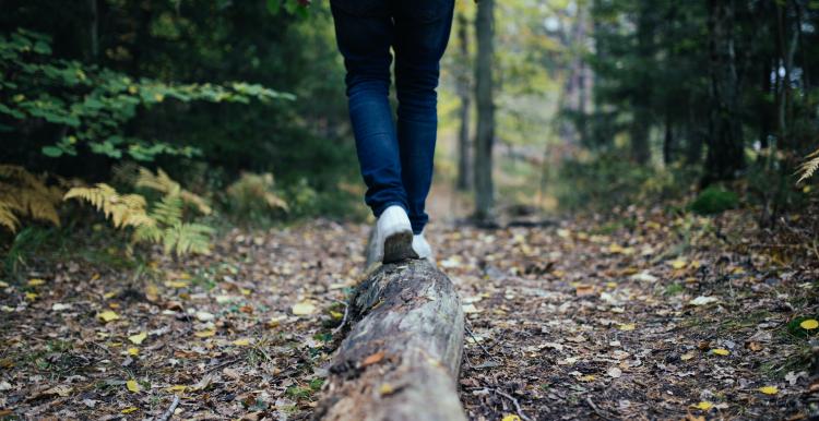 Person walking along a fallen log in the woods